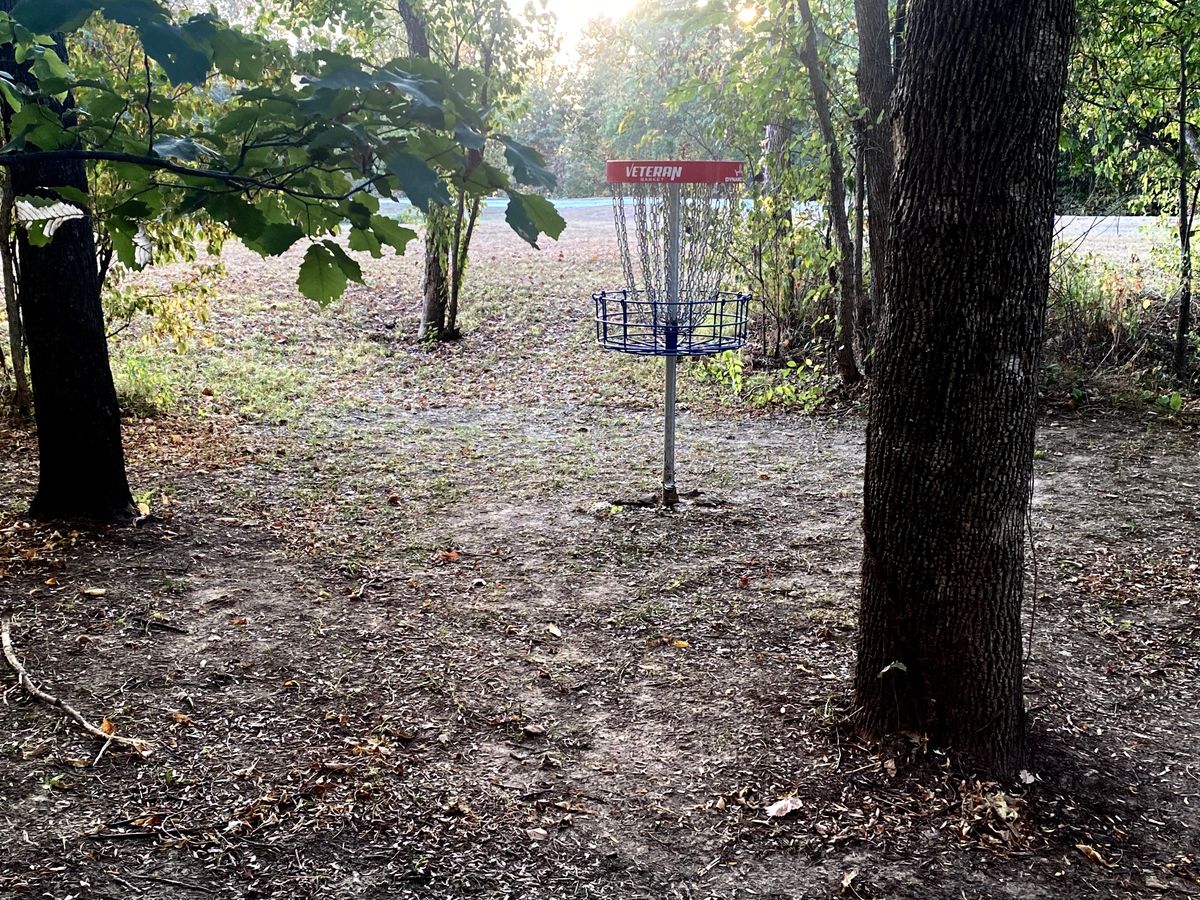 Basket to tee pad look on hole #14 A