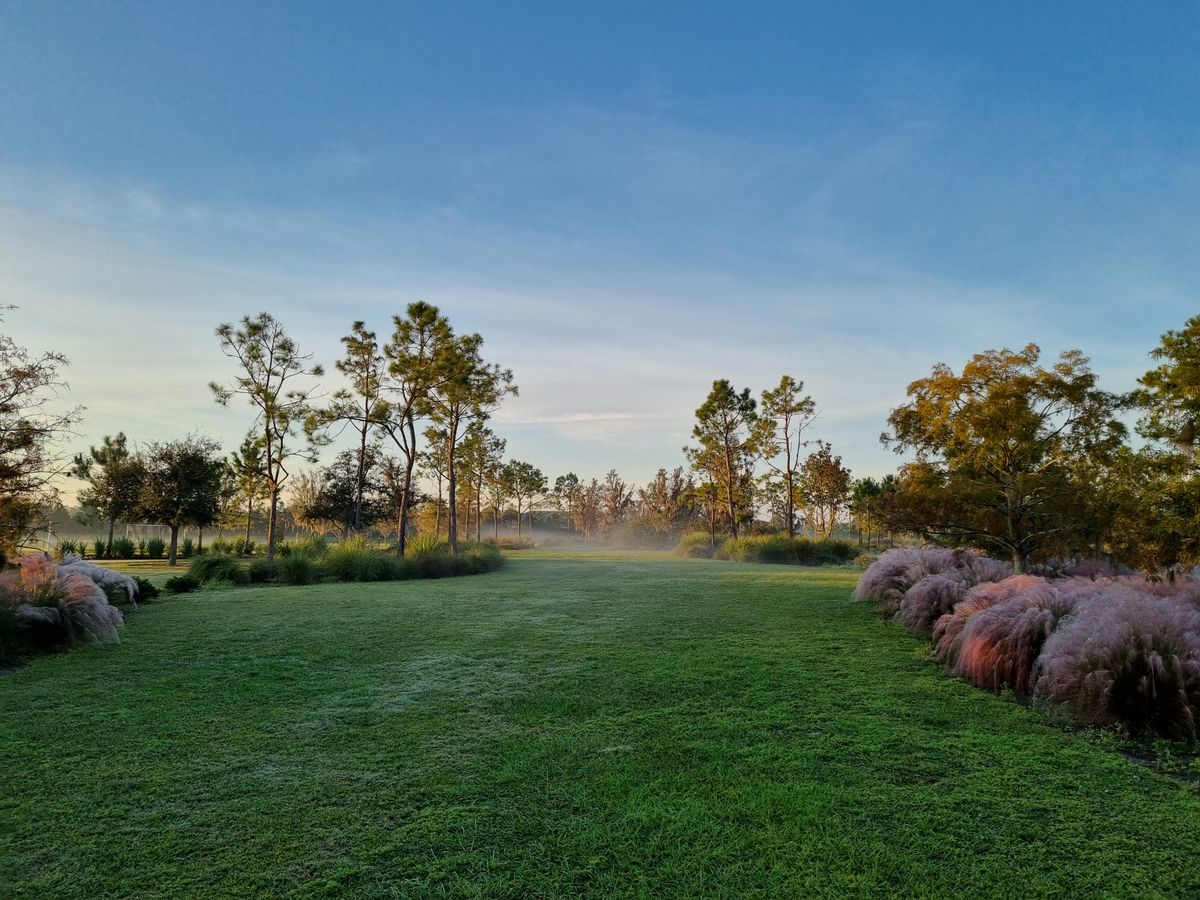 Early morning Hole 18 from basket