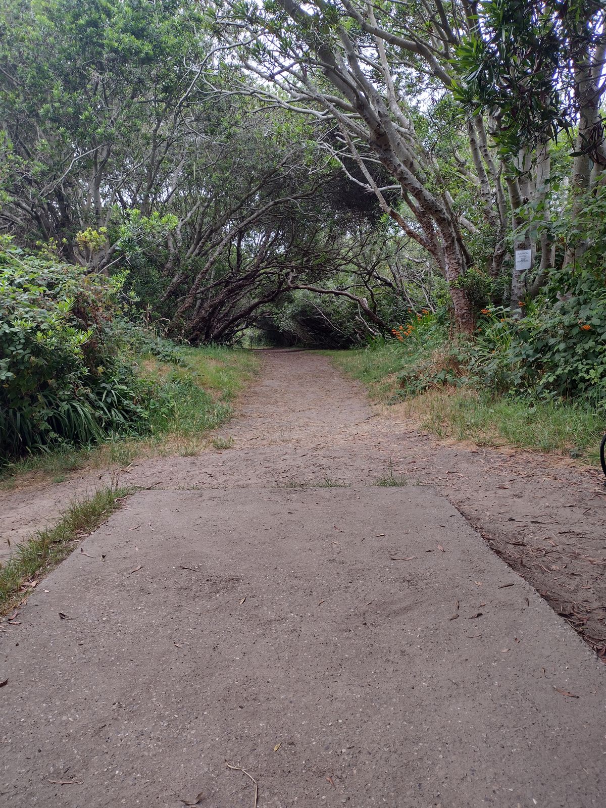 Hole #9