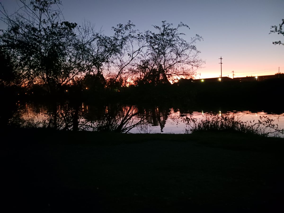 Night view. This is what you are going to see if you lose a disc on number 6 and not willing to leave it!!! Took two days to find it.