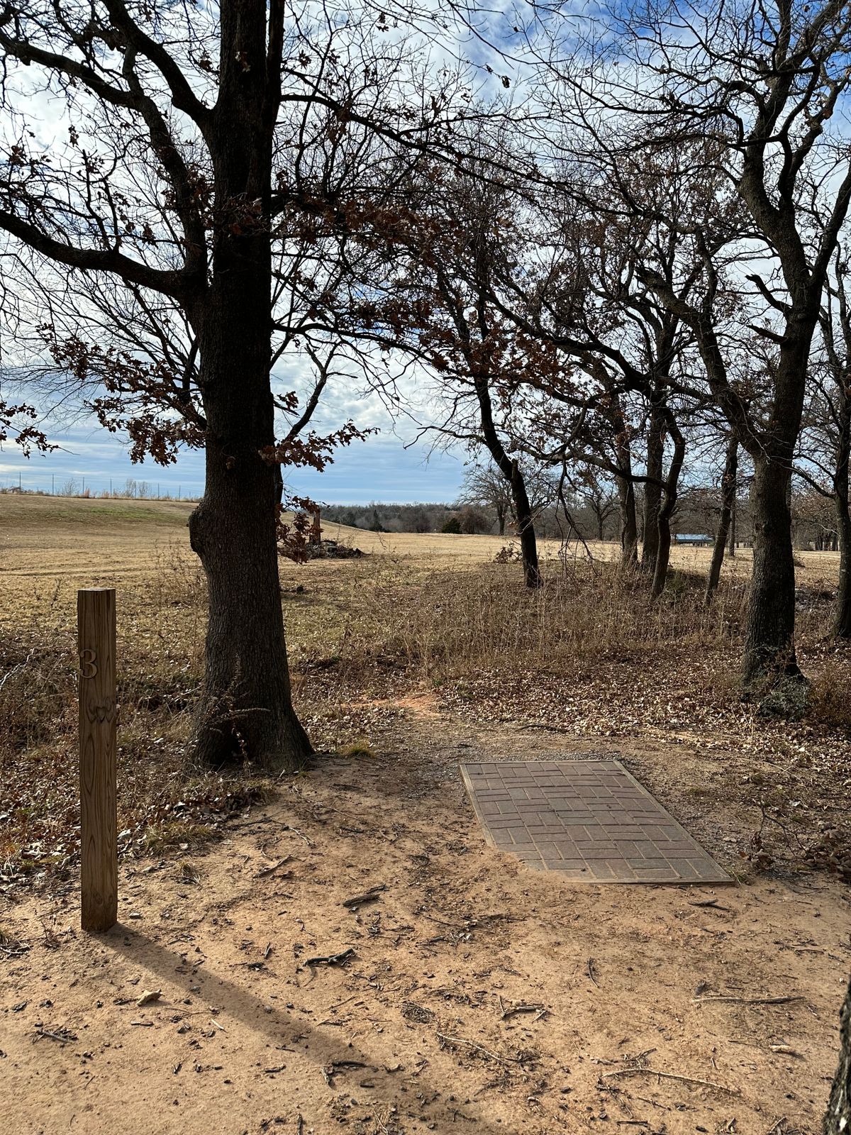 Hole 3 par 4 tee
