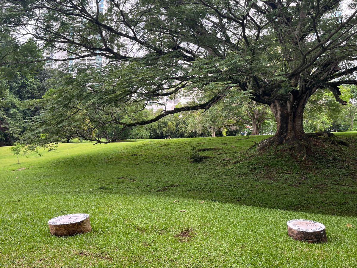 Hole 5 - gorgeous