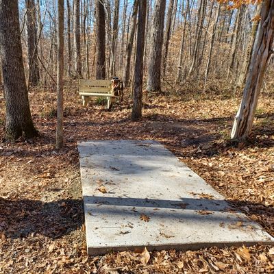 Hole 16 tee