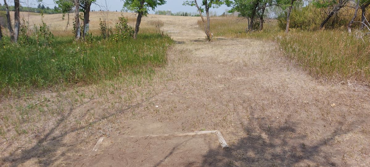 Tee pad