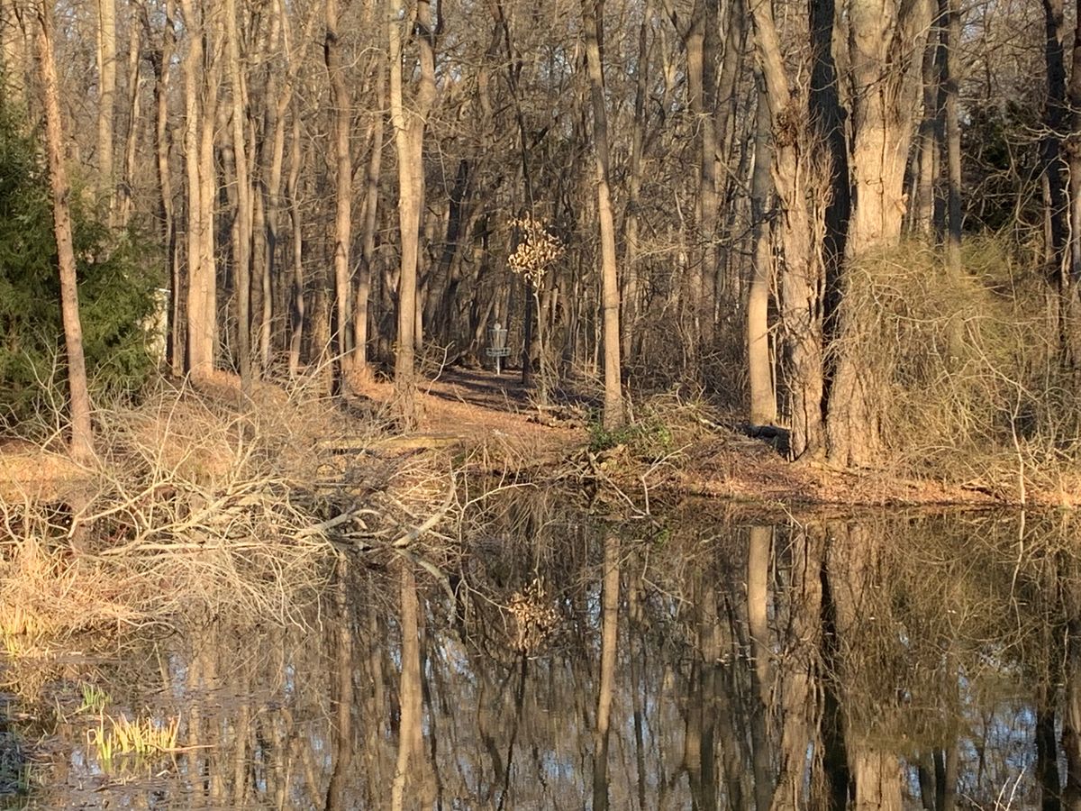 Hole 6