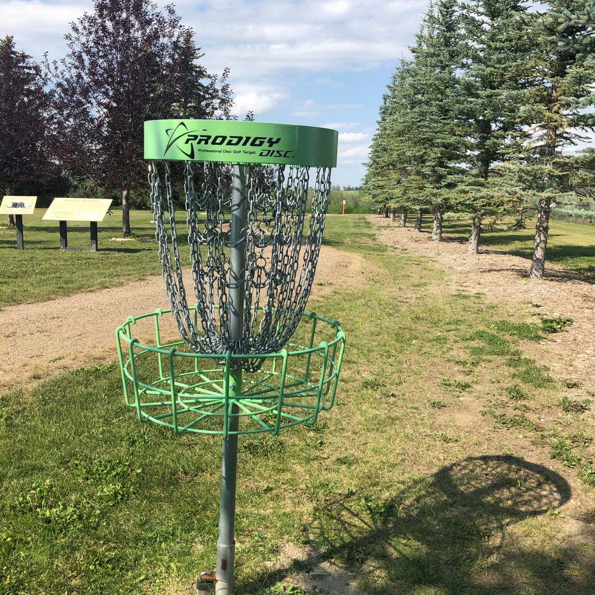 Hole 5