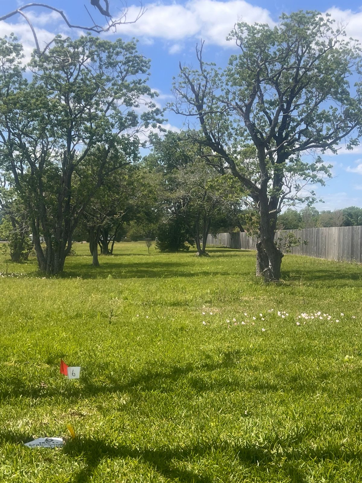 Hole 6 - Willingness - 186ft