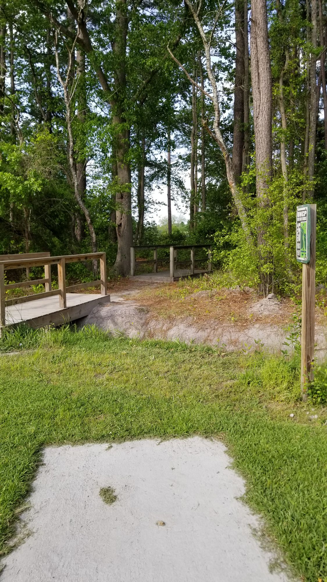 Hole 5
