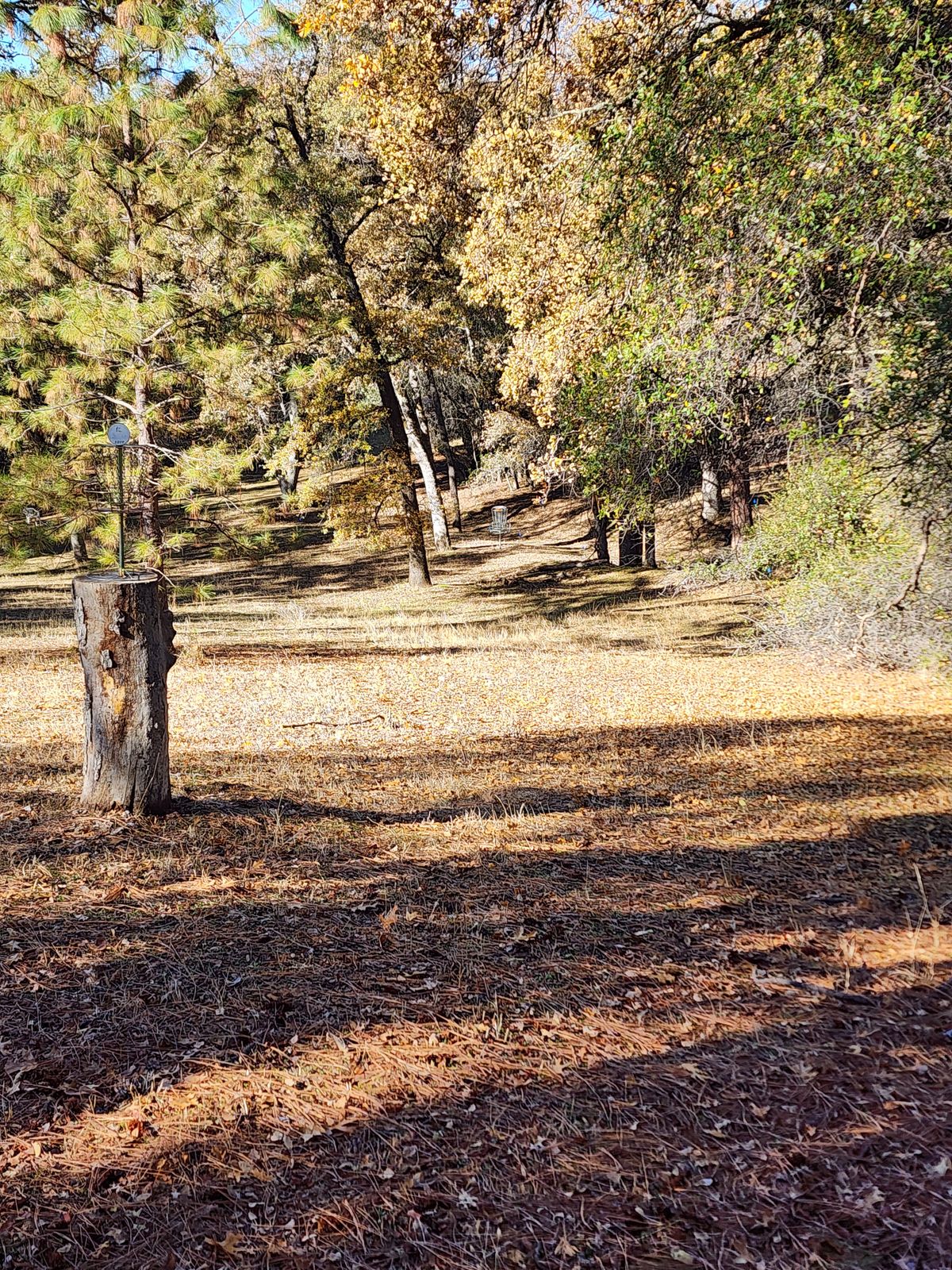 Hole 3 Fairway