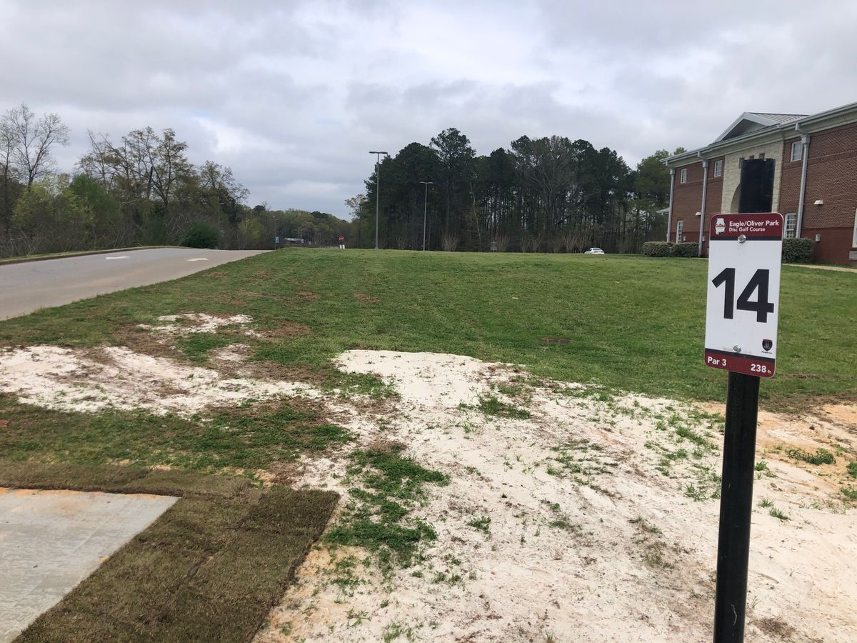 Hole 14