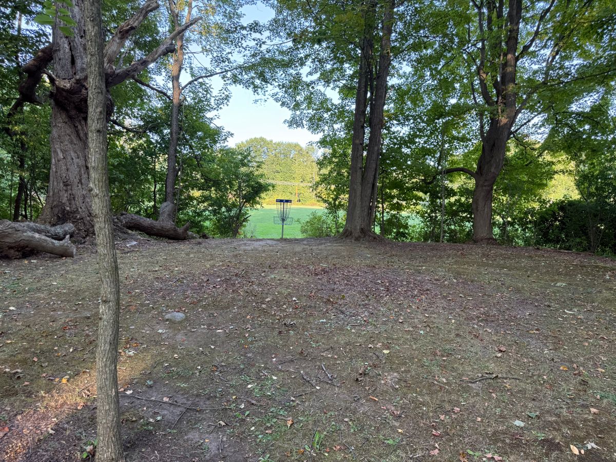 Hole 2 Green