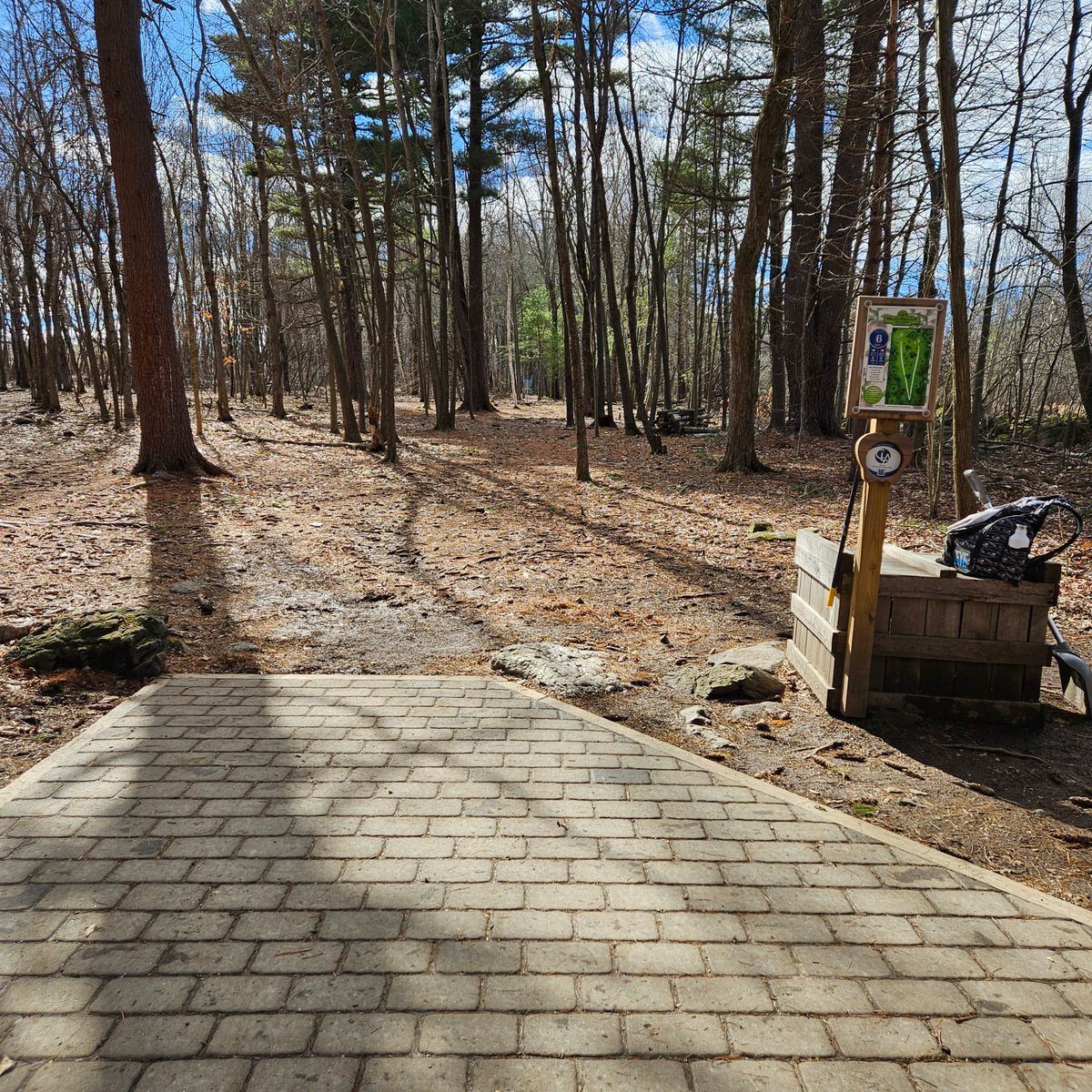 Hole 6 Tee Pad Facing Red Basket