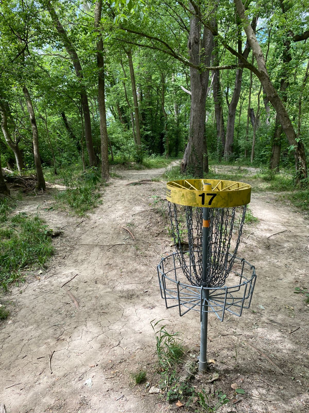 Hole 17 (Reverse)
