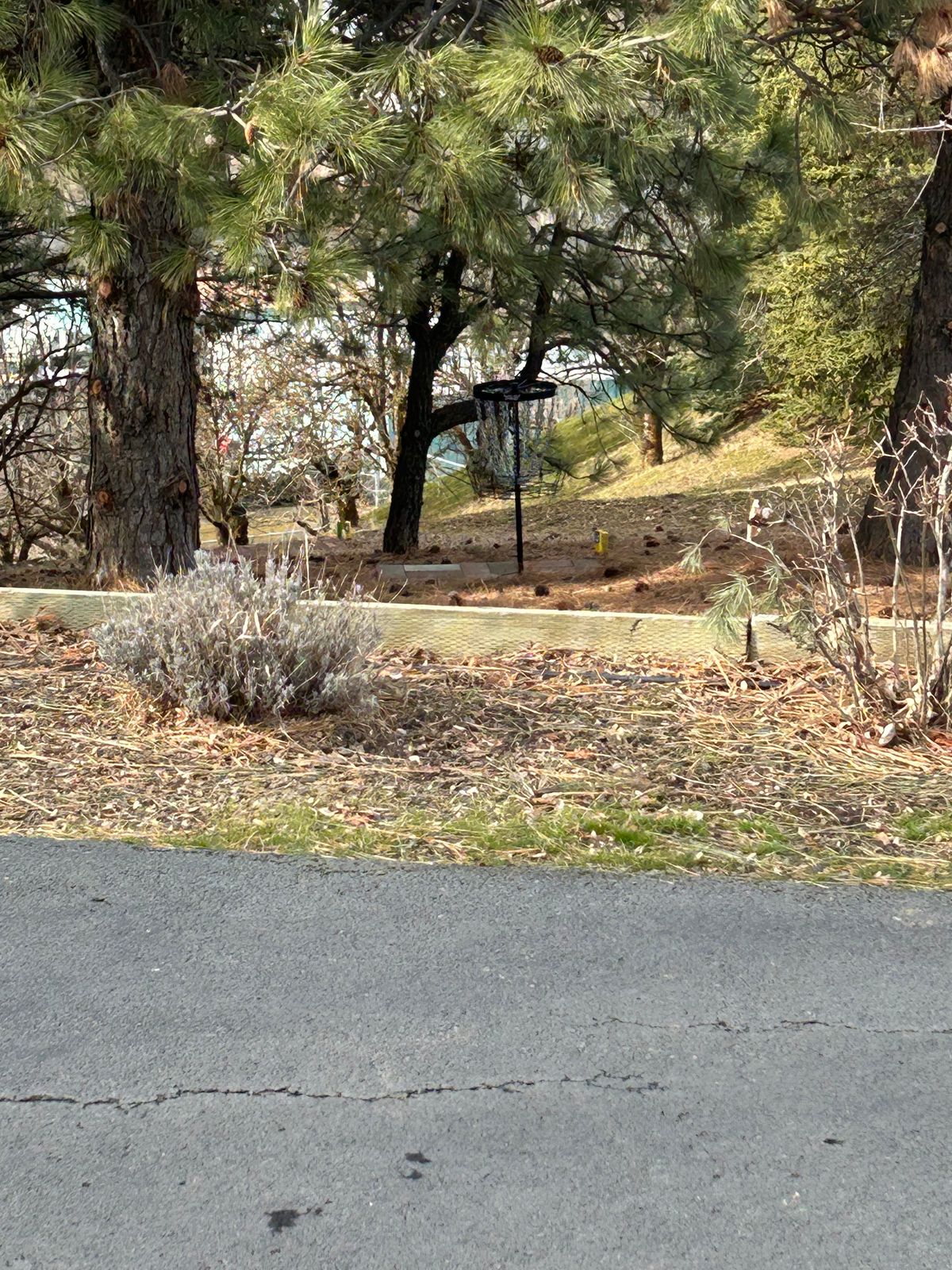 Hole #18 over hedge and downhill. Avoid roll away it’s 260’ to the bottom of the hill!