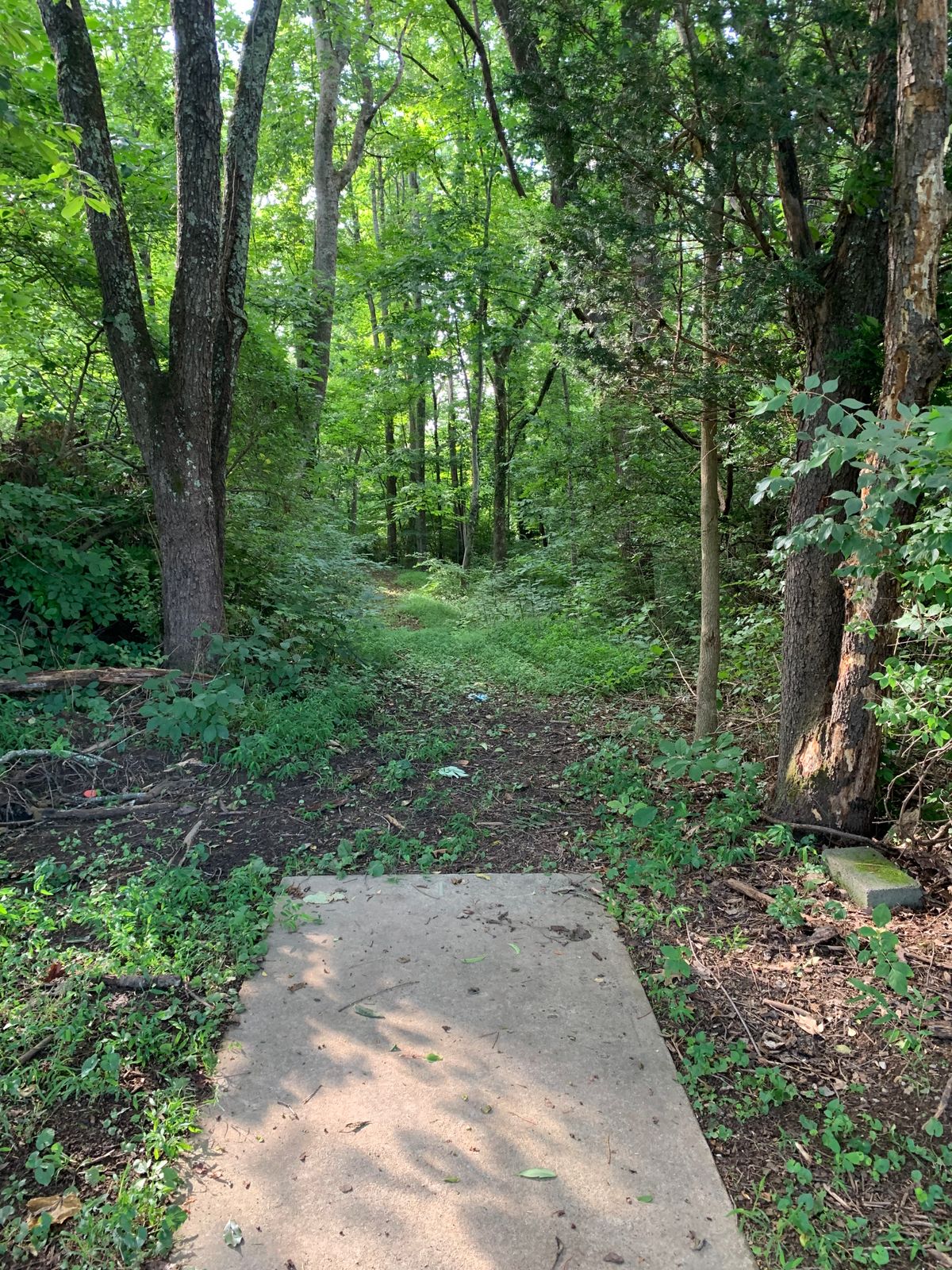 Hole 1