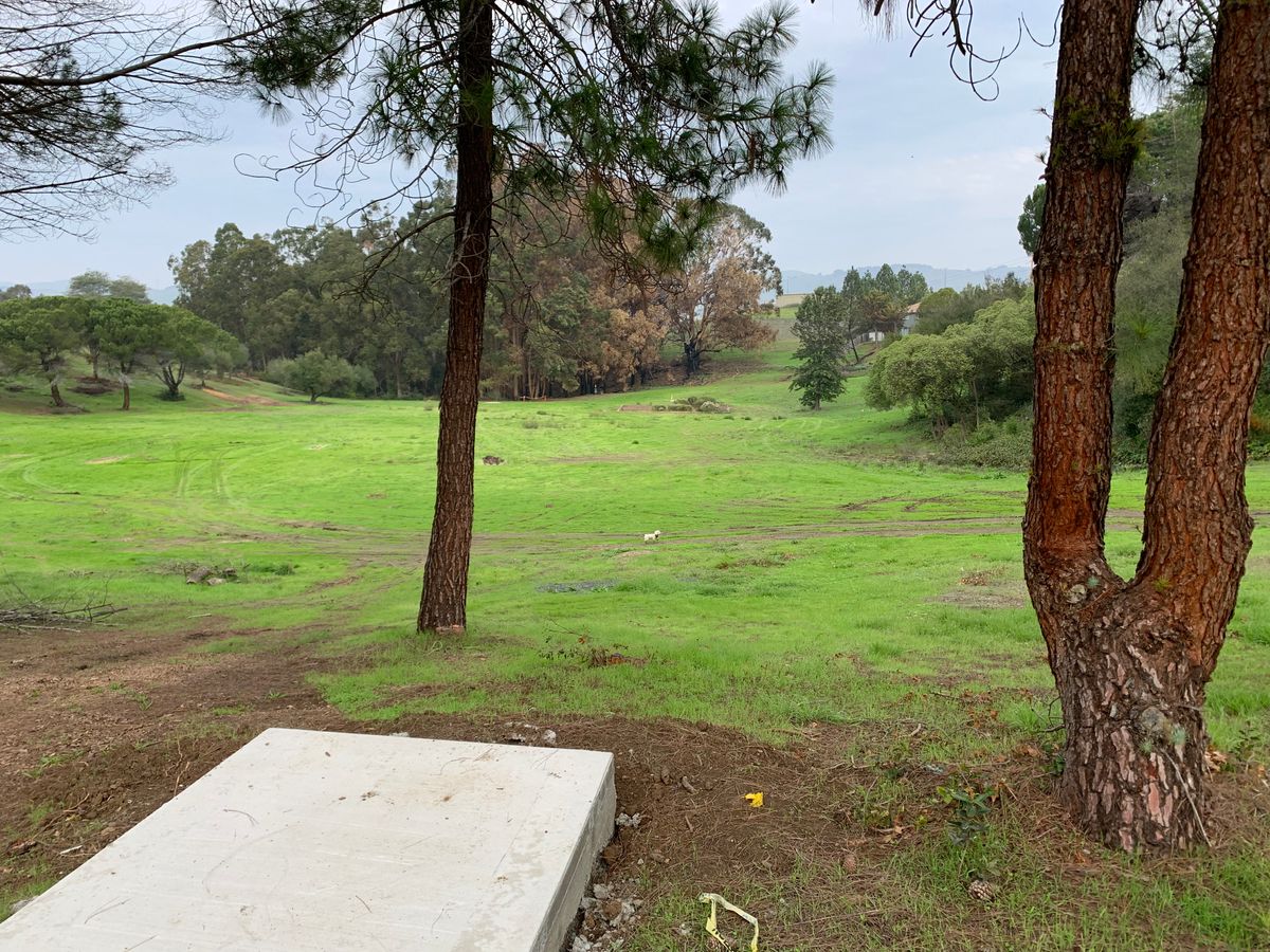 Gorgeous 6th tee pad that curls uphill and around the trees right. Plenty of left-side fairway.