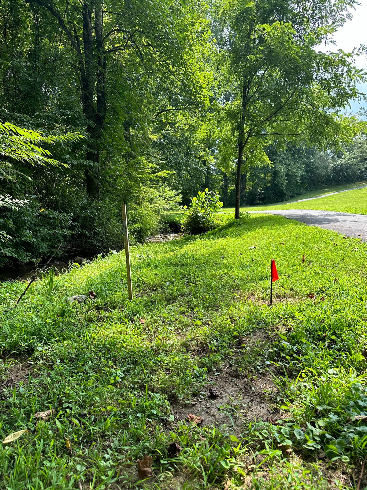 Goes to the left with the creek.