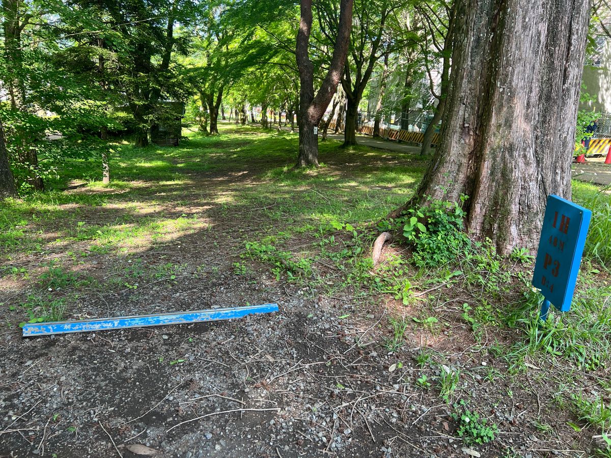 Hole 10 actually. Course is confusing at first, because the signage is for two 9-hole courses.