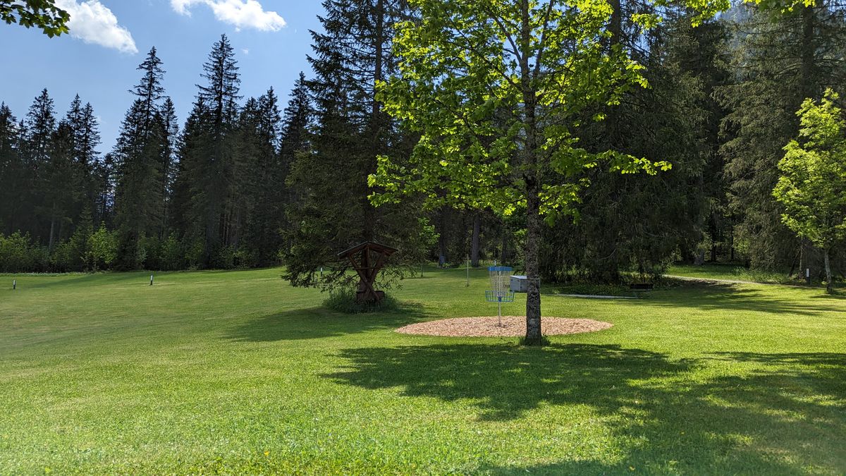 scenic DiscGolf