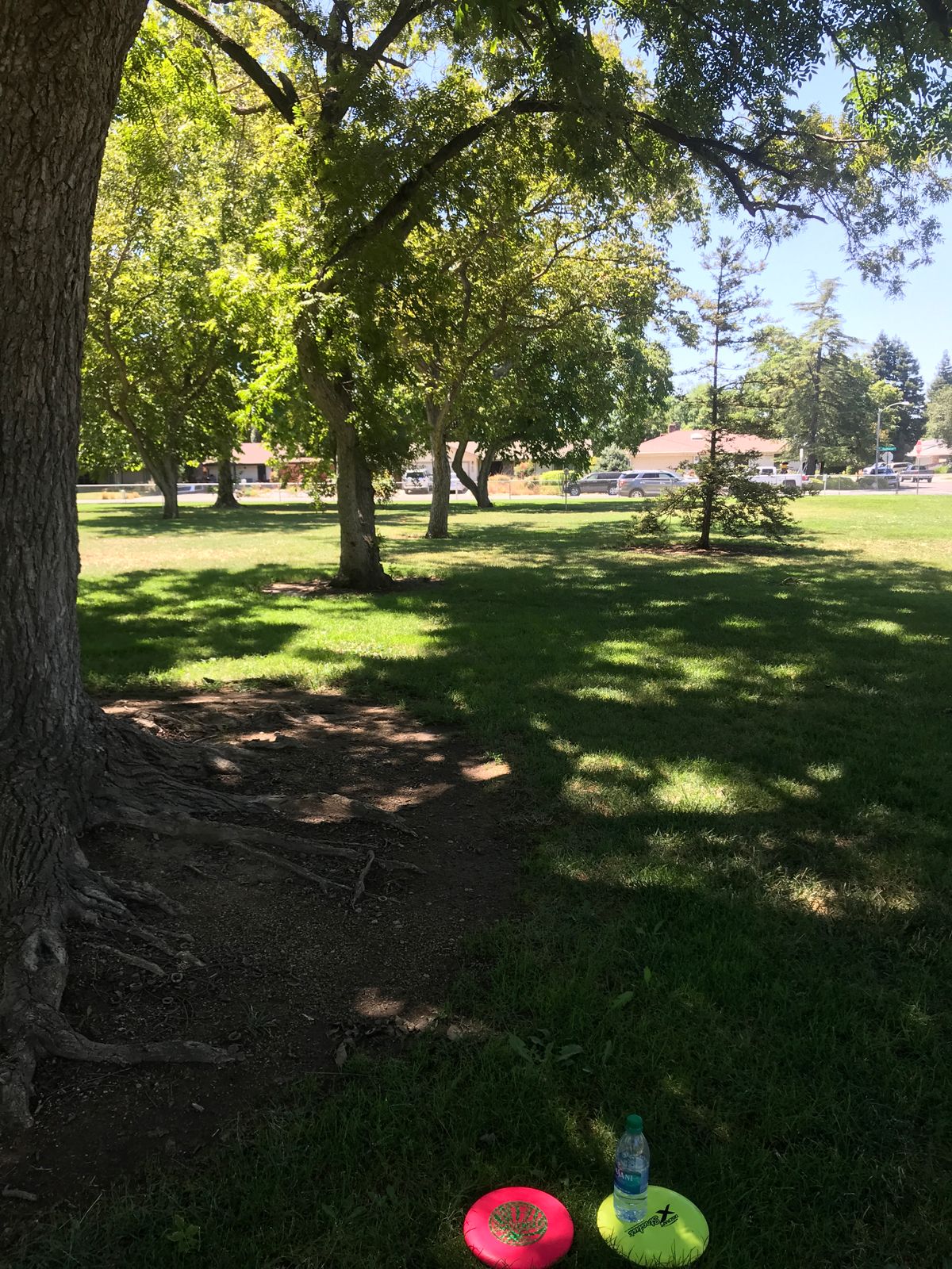 hole 6