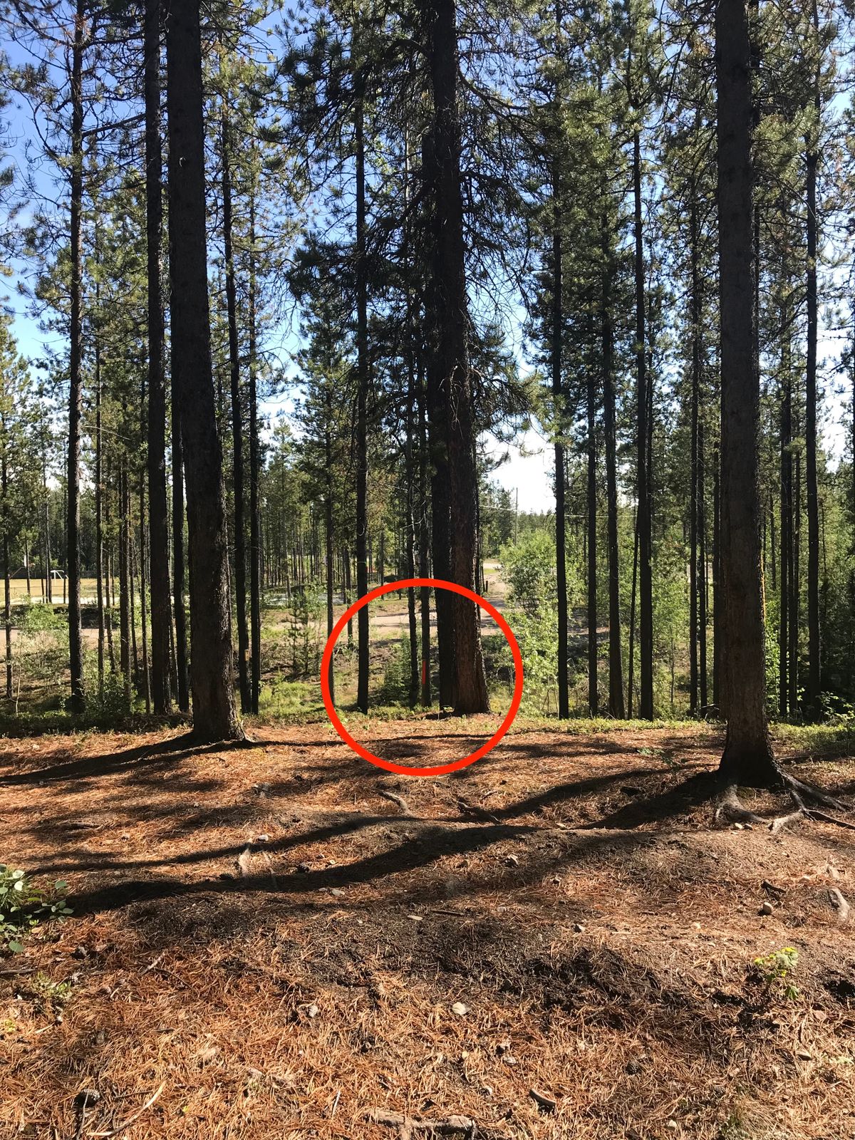 9 - target at crest of hill