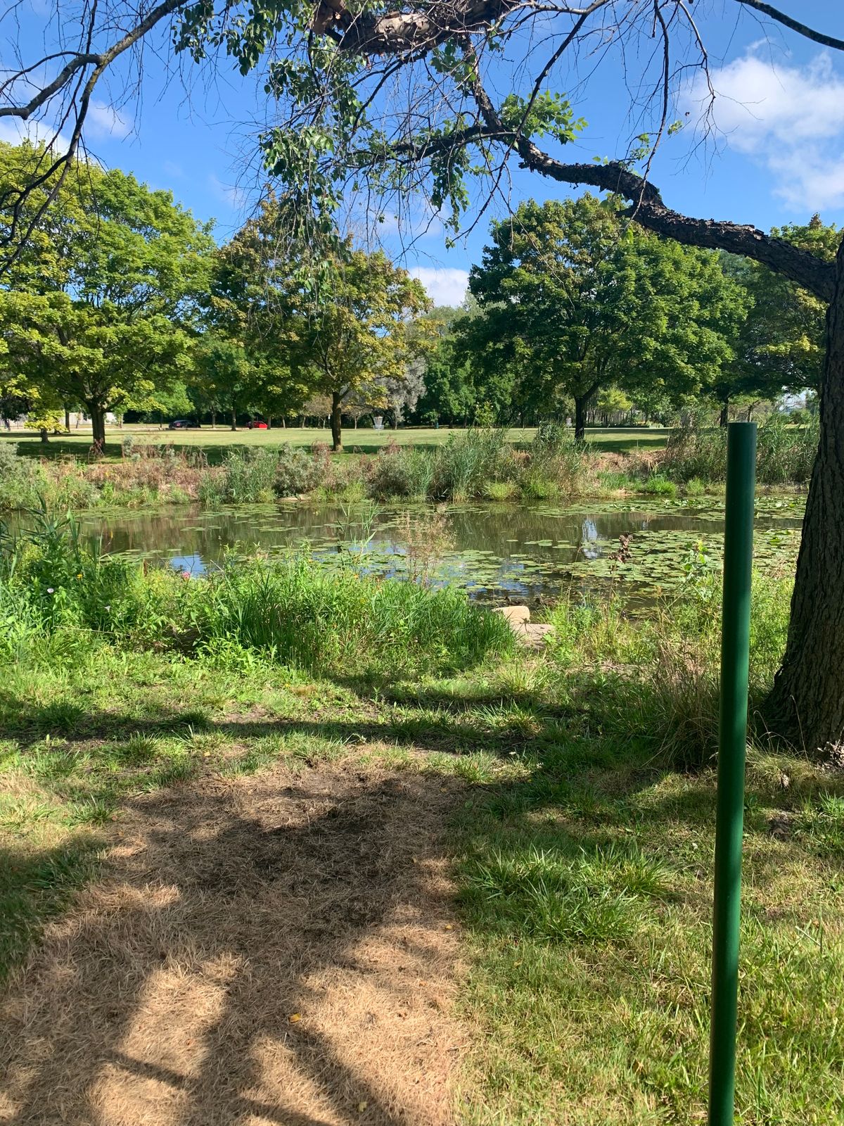 Hole 2 tee pad, there is a second tee pad option that doesn’t go over the water.