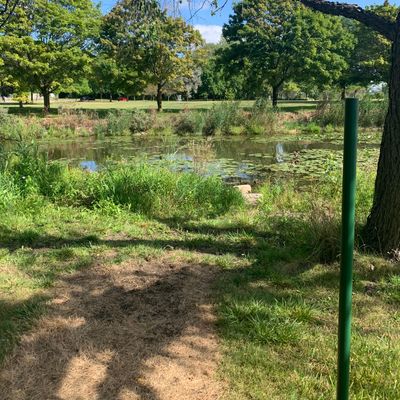 Hole 2 tee pad, there is a second tee pad option that doesn’t go over the water.