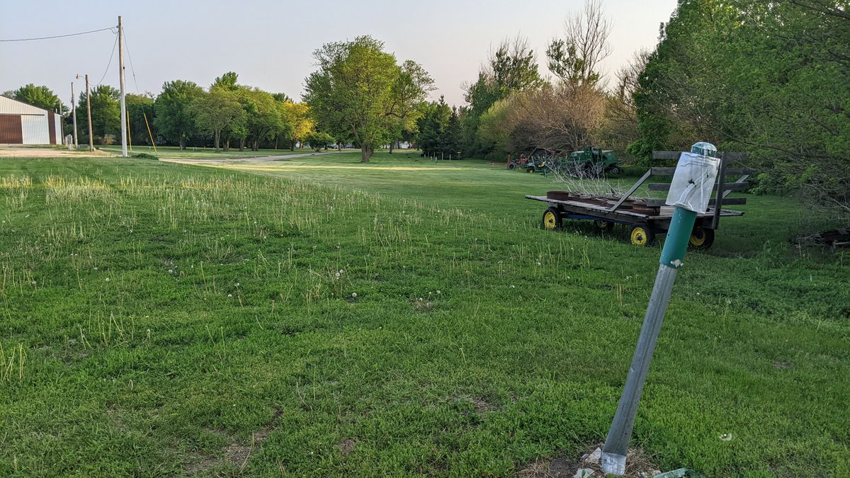 Tee #7