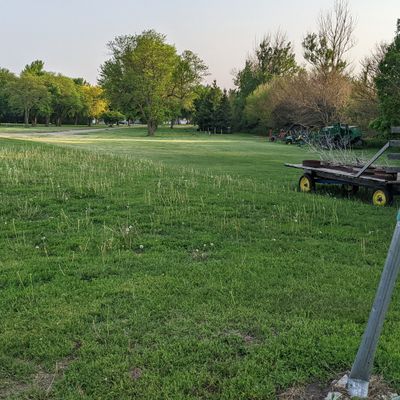 Tee #7