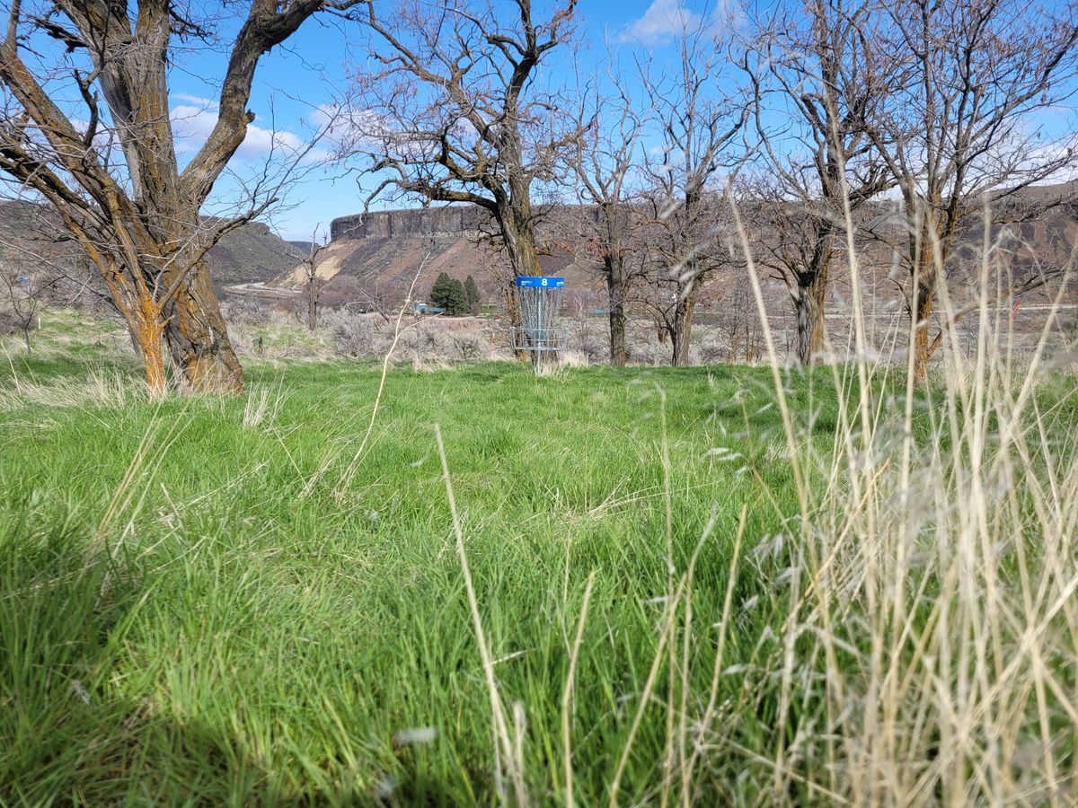 Hole 8 Green