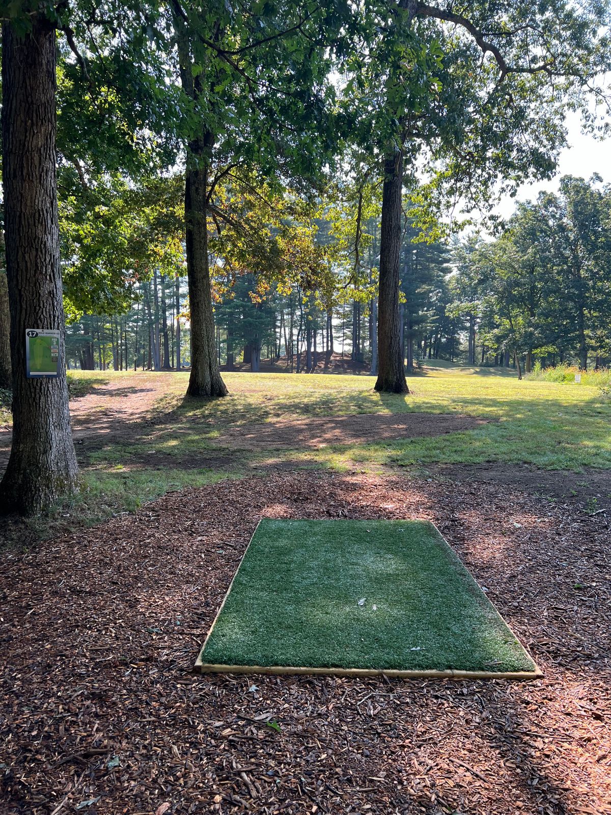 Hole 17 Tee