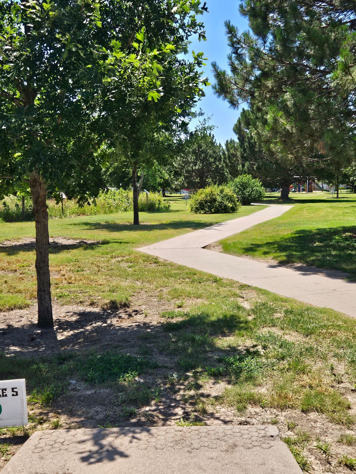 Hole 5 - Tee