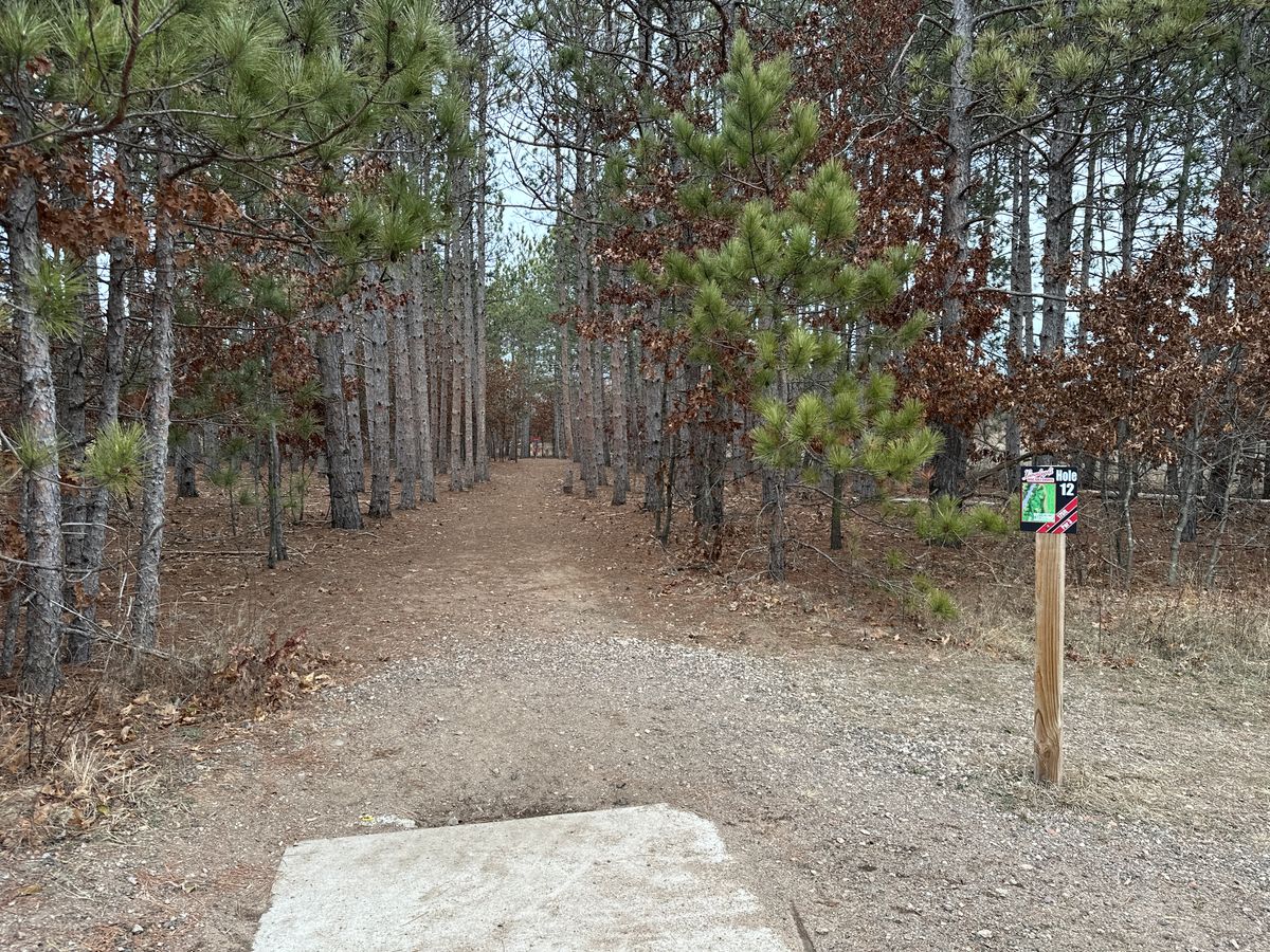 Hole 12 (your straightest shot)