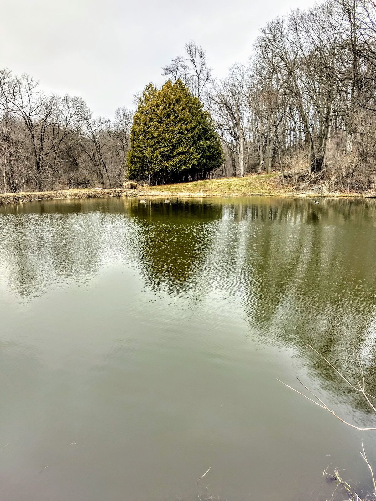 Main water hole. Long tee or short.
