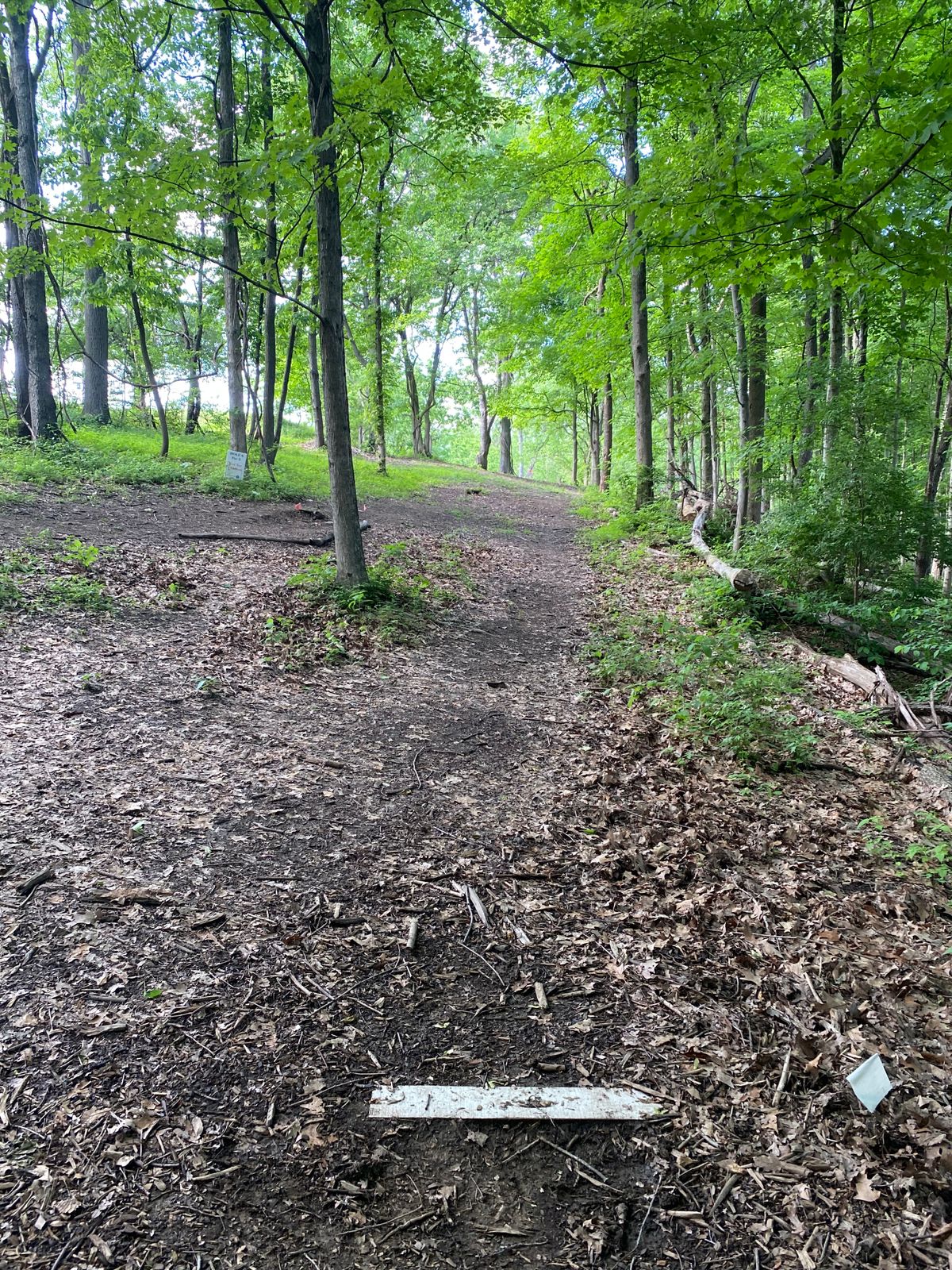 Hole 6 White tee