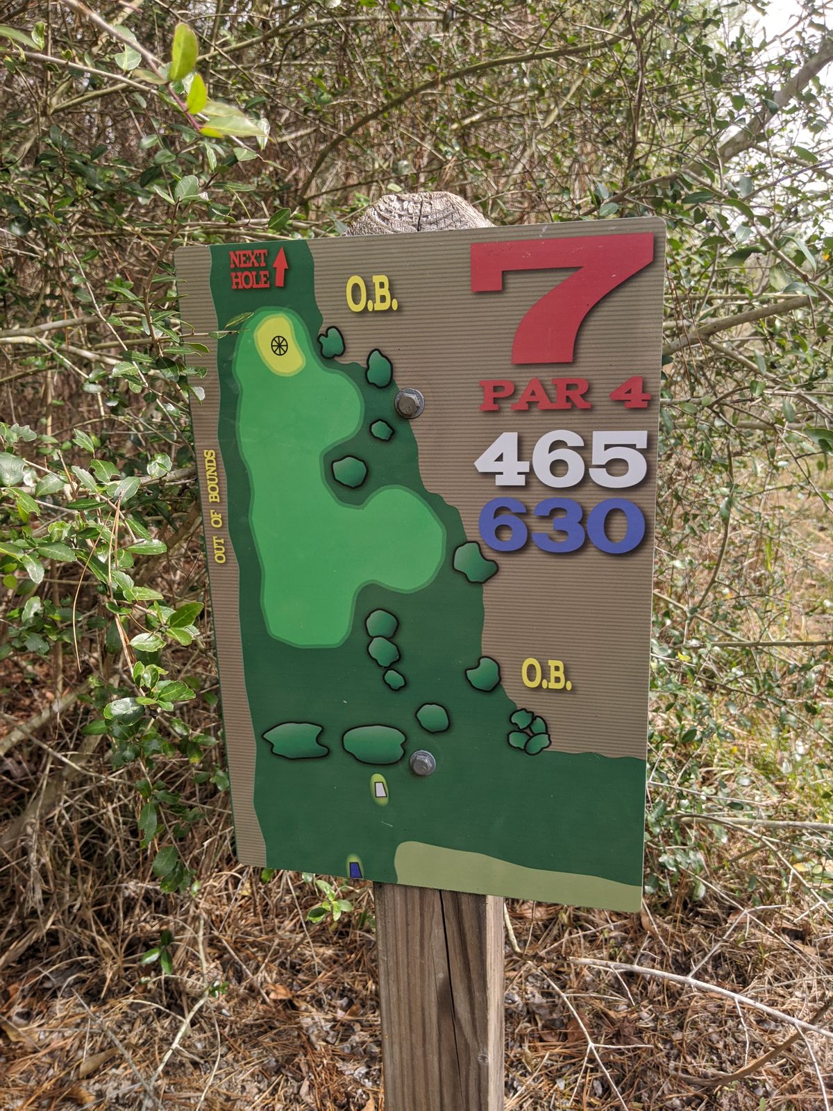 Hole 7