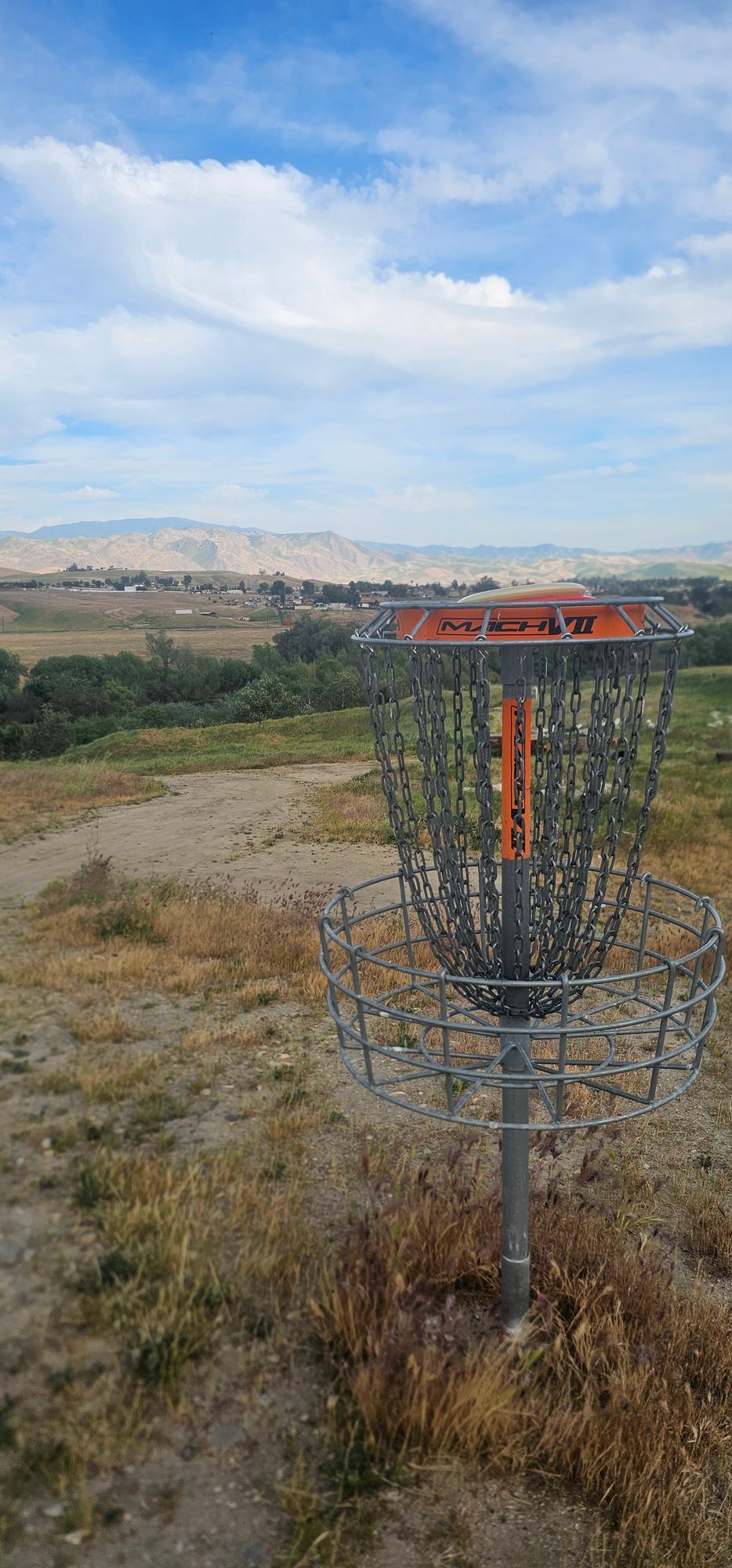 Me and the coworker lost 2 yellow disc on hole 11 in the hills . Wraith, and honeybee. 9126029690. Dont use yellow or green discs. Use red disc's.