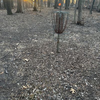 Hole 2 basket