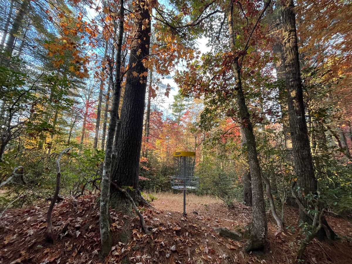 Hole 8 basket