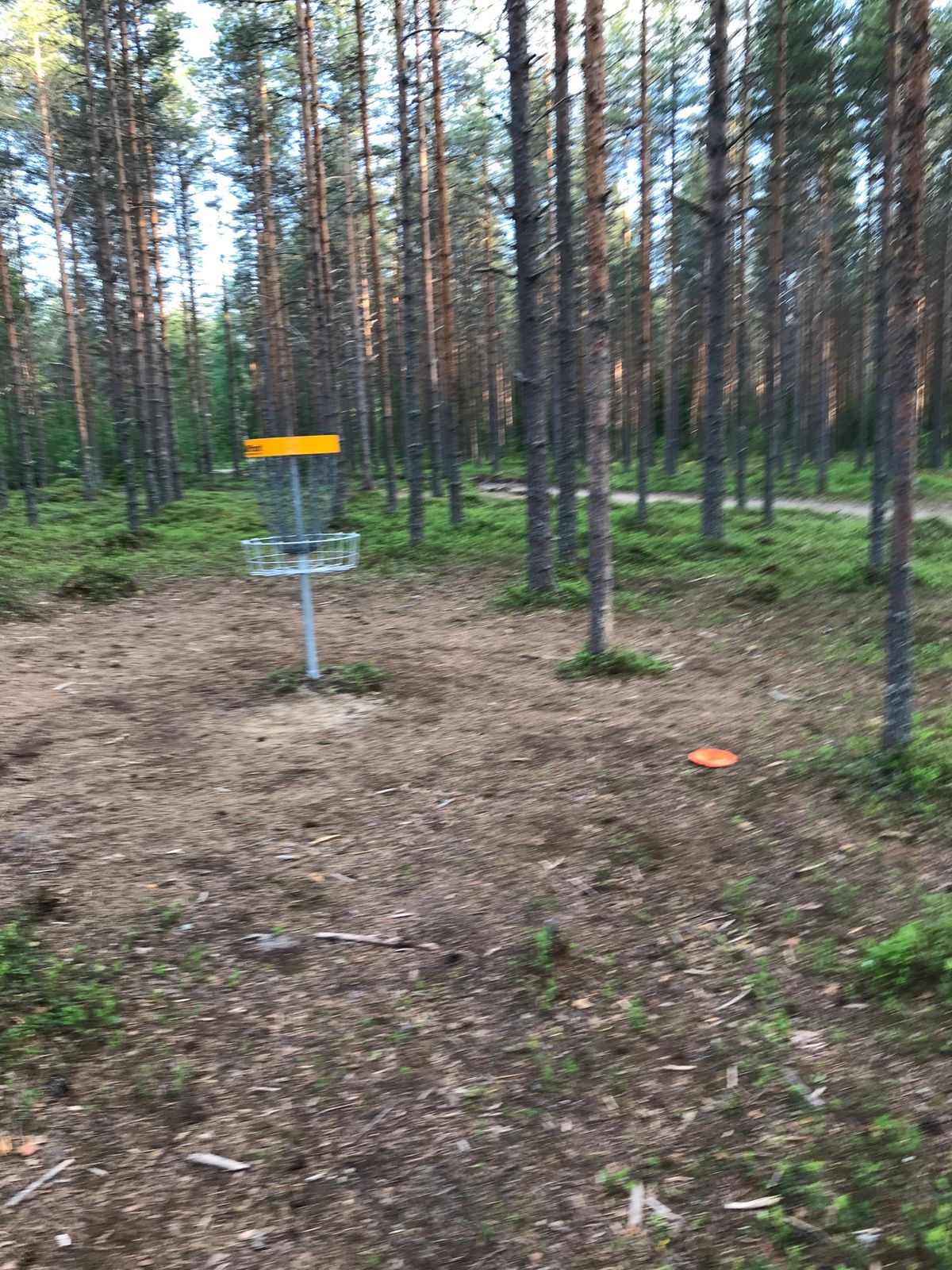 12. -väylän korilla.