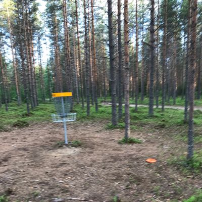 12. -väylän korilla.