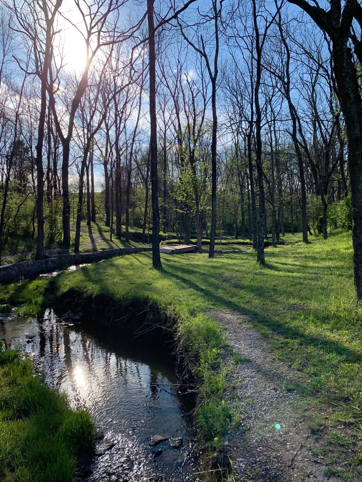 Hole 22. Through the woods...