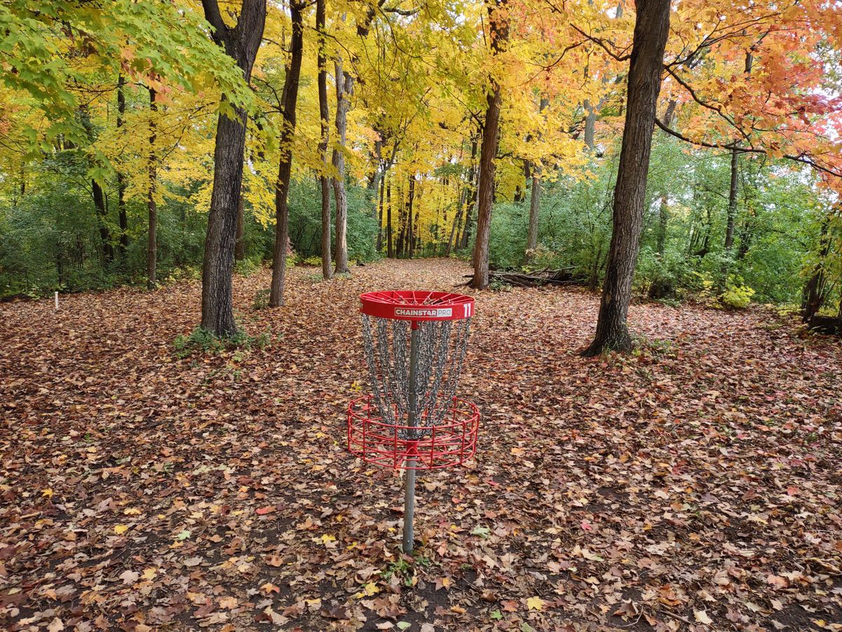 #11 position C