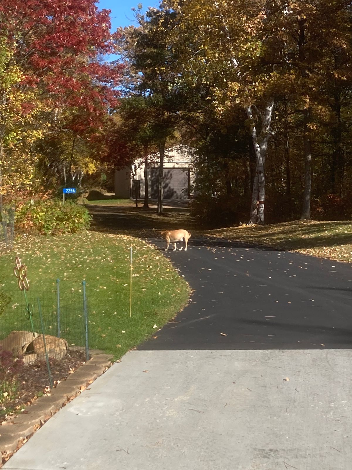 Hole 1 Tee and fairway