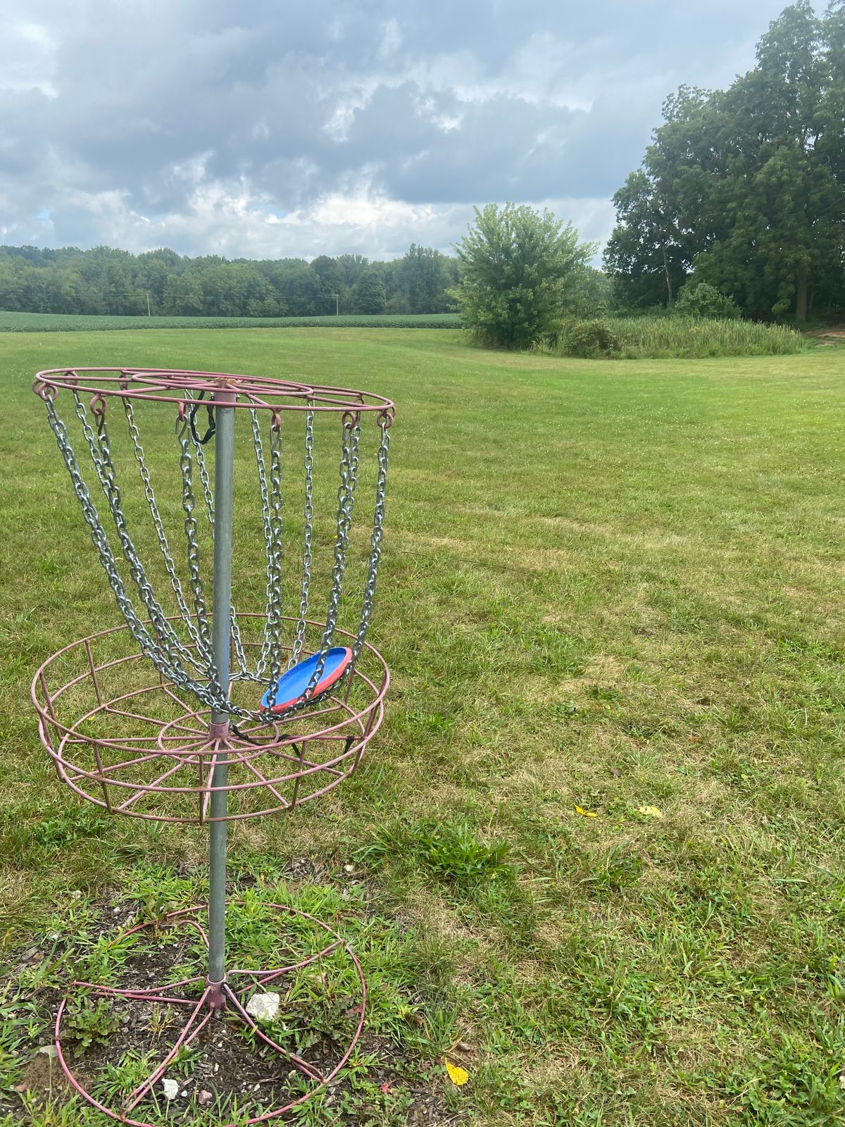 Hole 6 basket looking back towards teepad