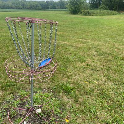 Hole 6 basket looking back towards teepad