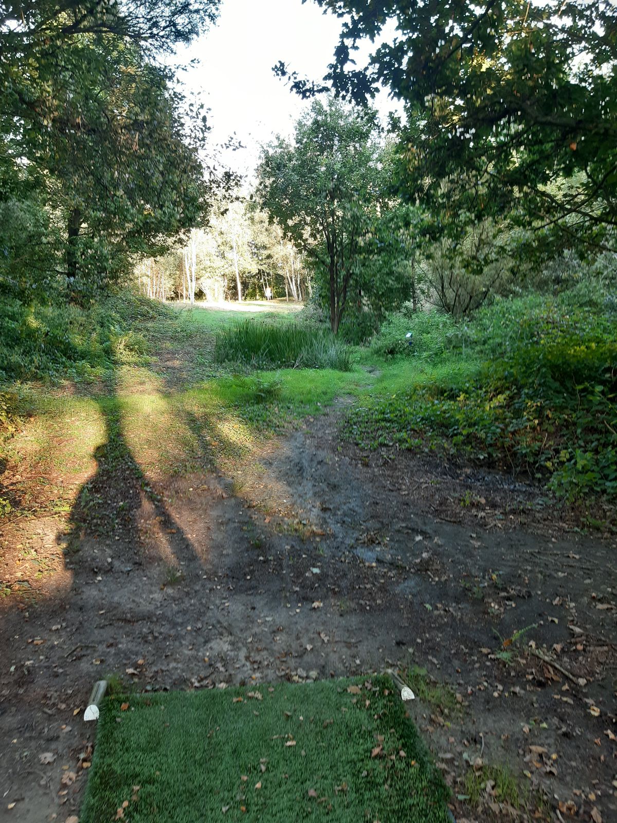 Hole 12