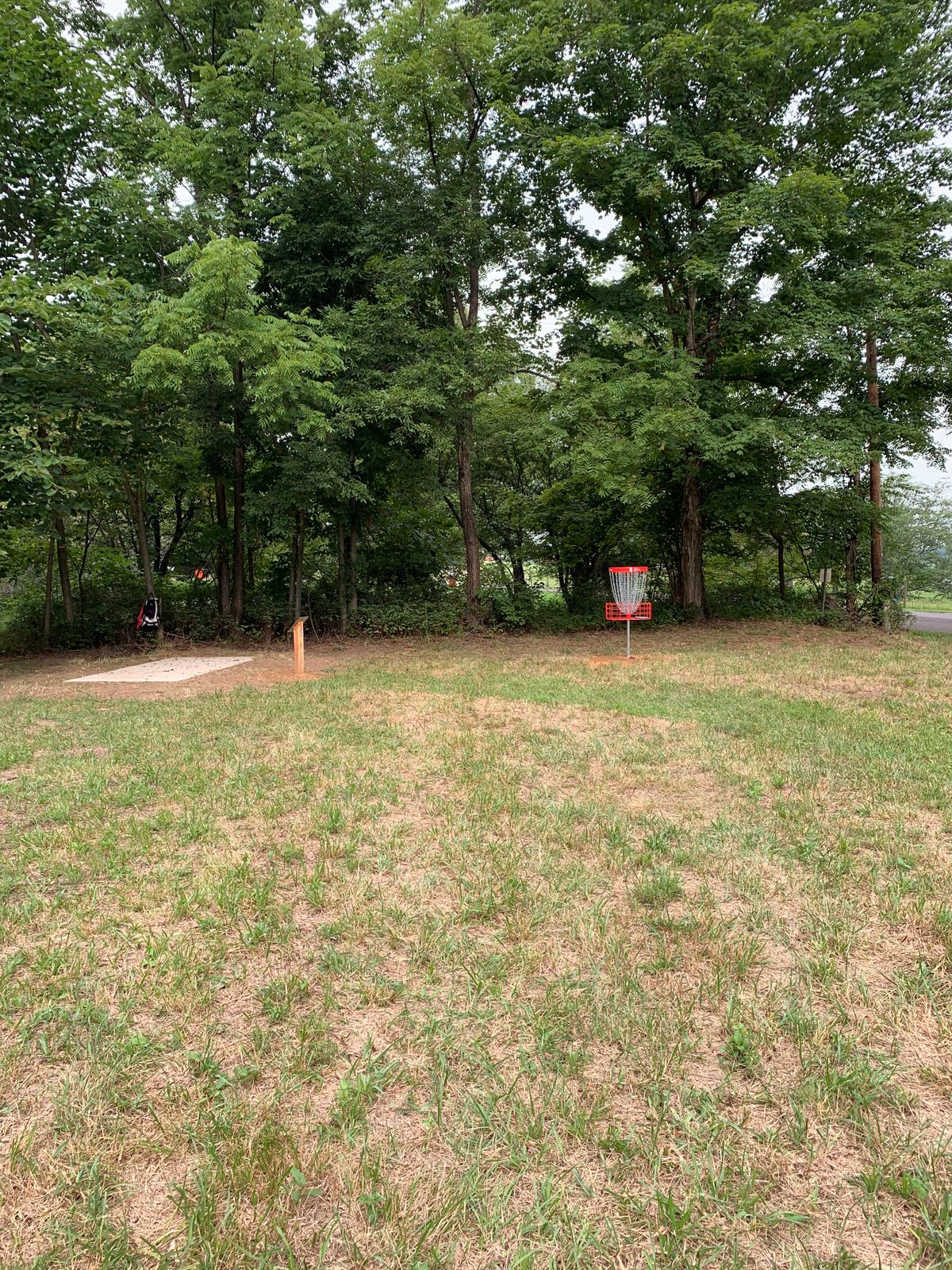 Hole 7 basket.