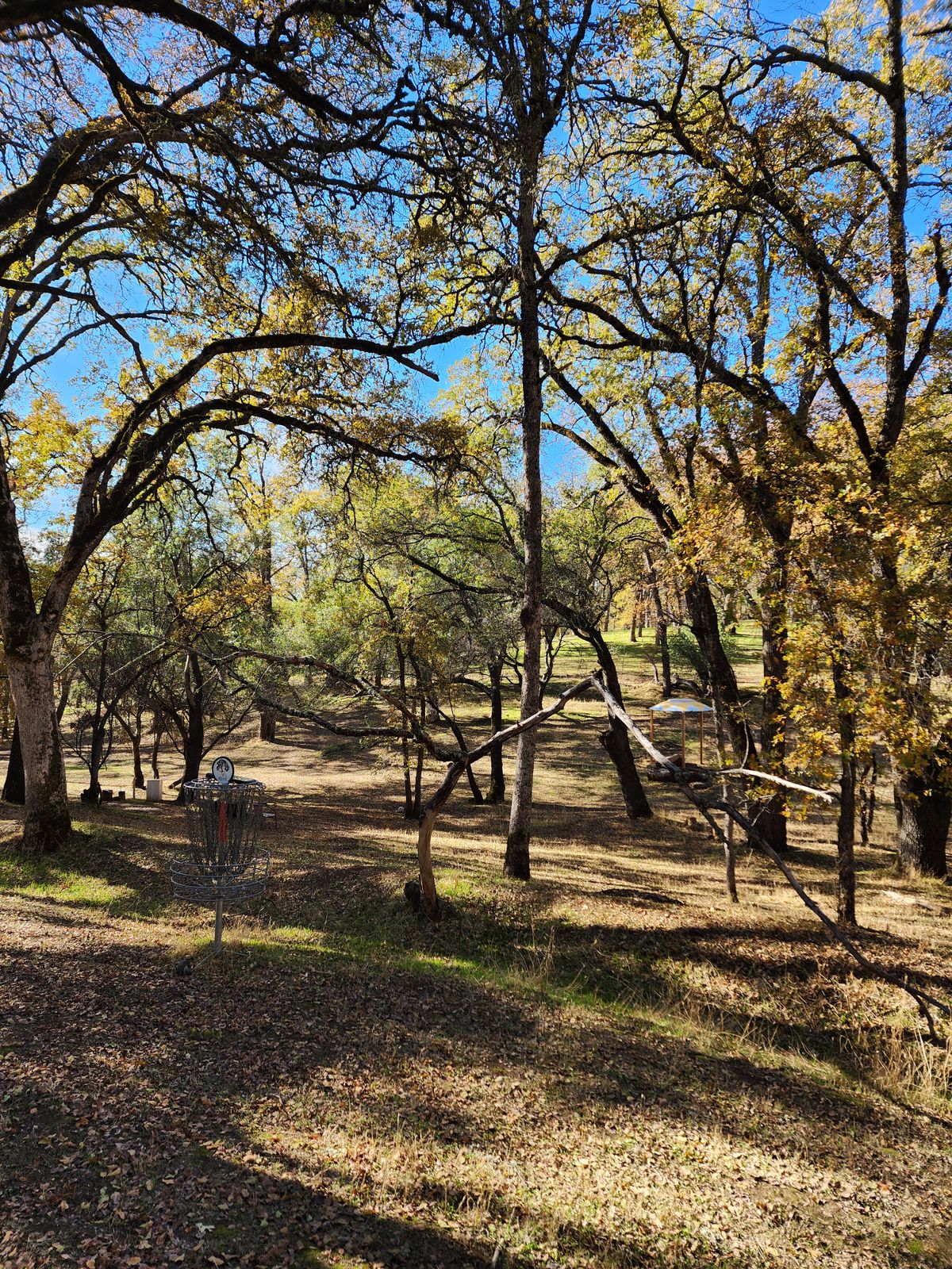 Hole 5 Green
