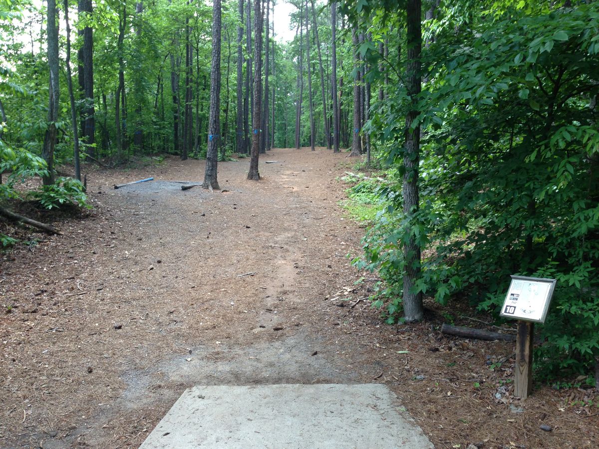 Hole 10 long tee